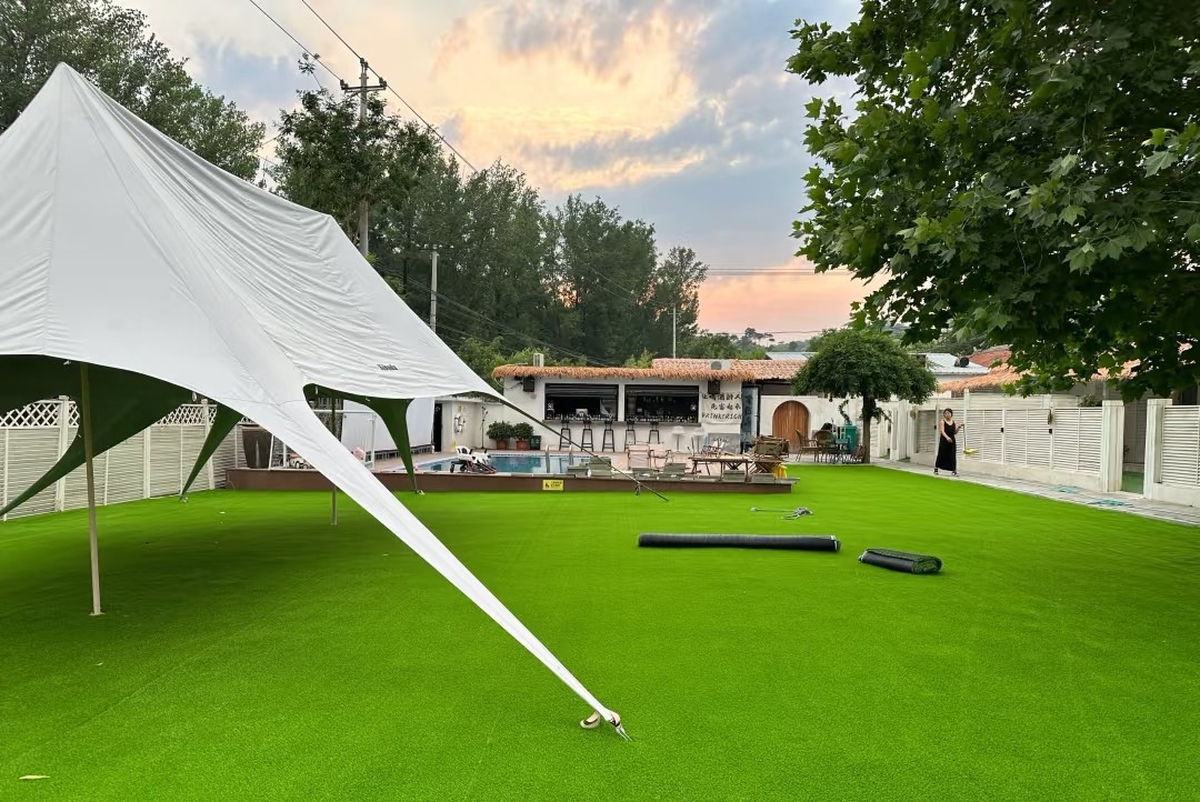 259e02836a7b358cde6a709da8d8e36 259e02836a7b358cde6a709da8d8e36